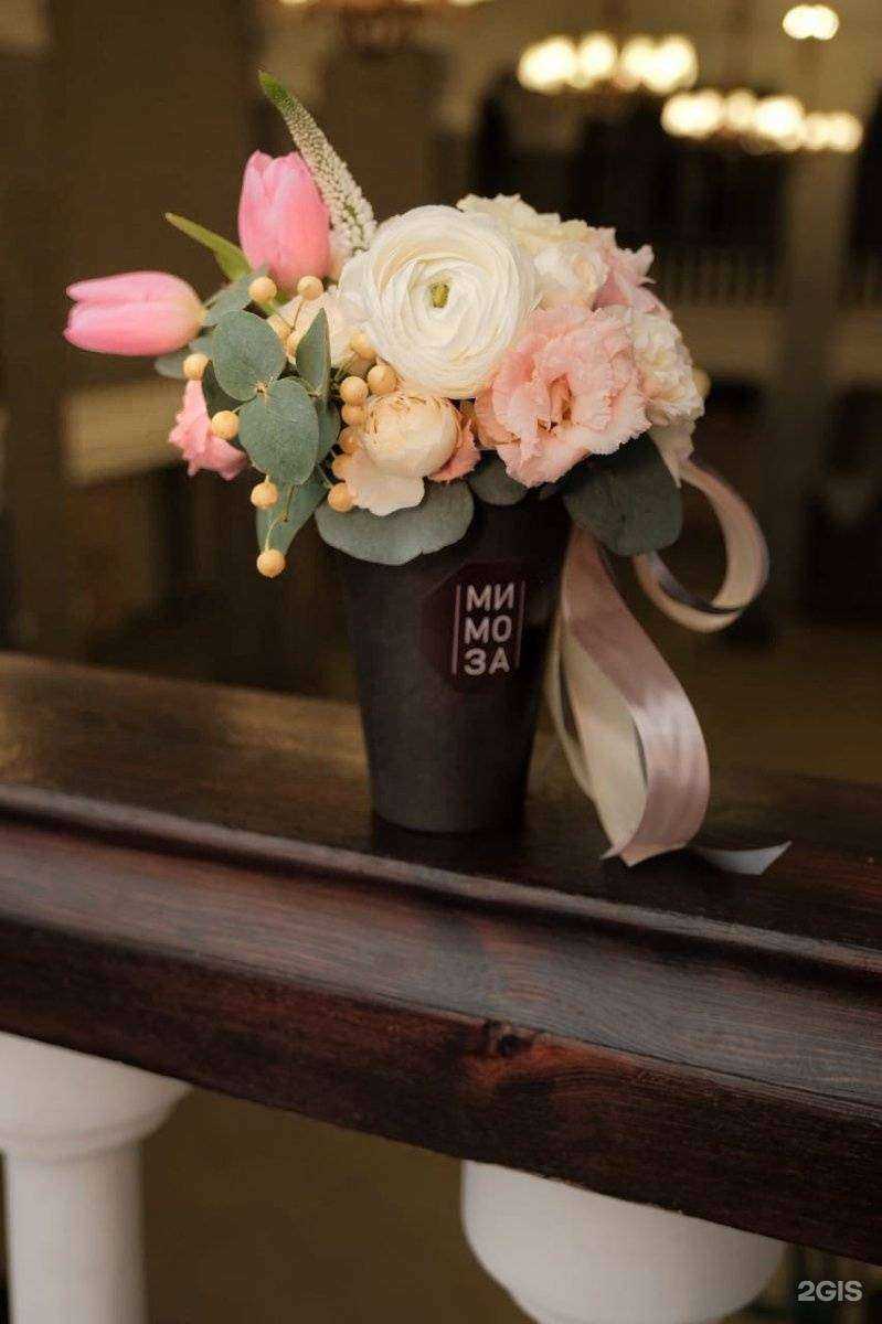 Отзывы на компанию Мимоза в Красноярске c фото