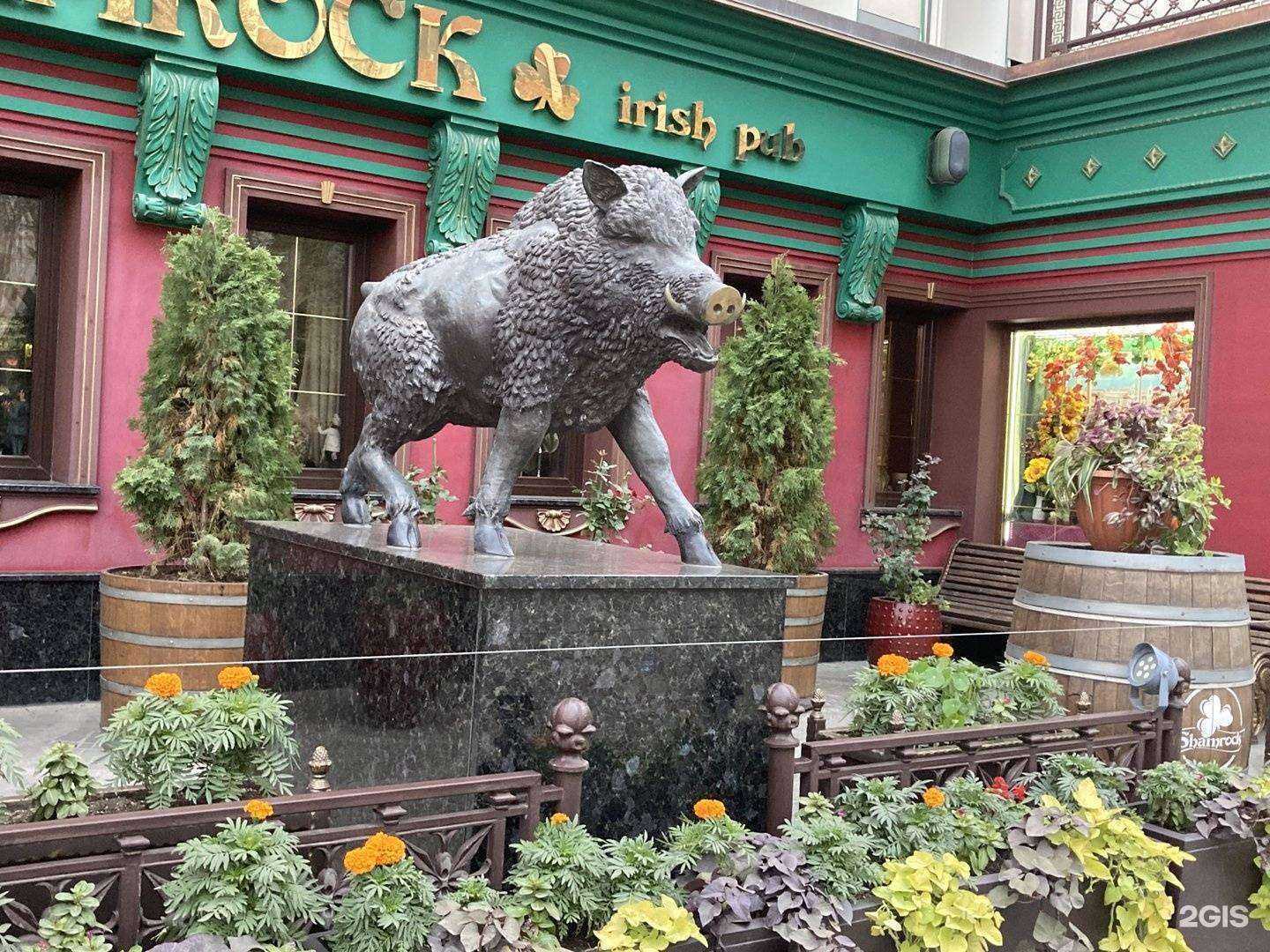 Отзывы на компанию Shamrock в Самаре c фото