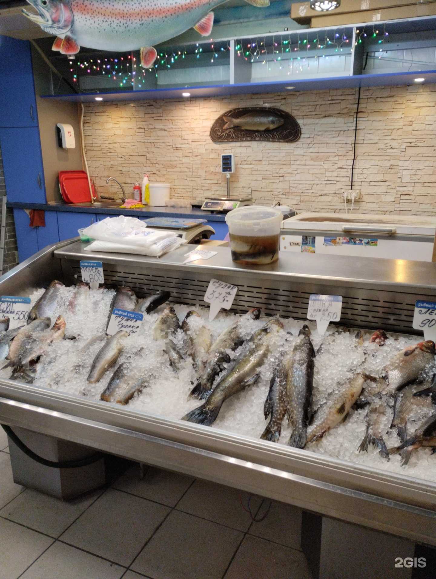 Отзывы на компанию Рыбачьте с нами в г. Петрозаводск c фото