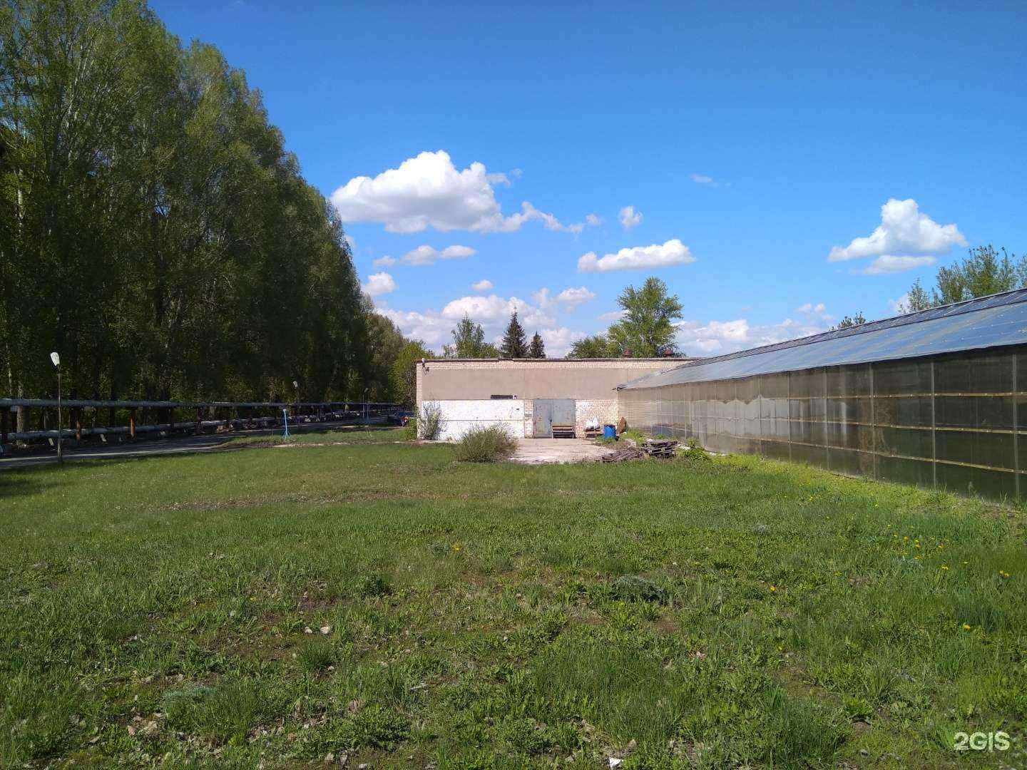 Отзывы на компанию Фрегат Лтд в Тольятти c фото - фотография 2 из 2