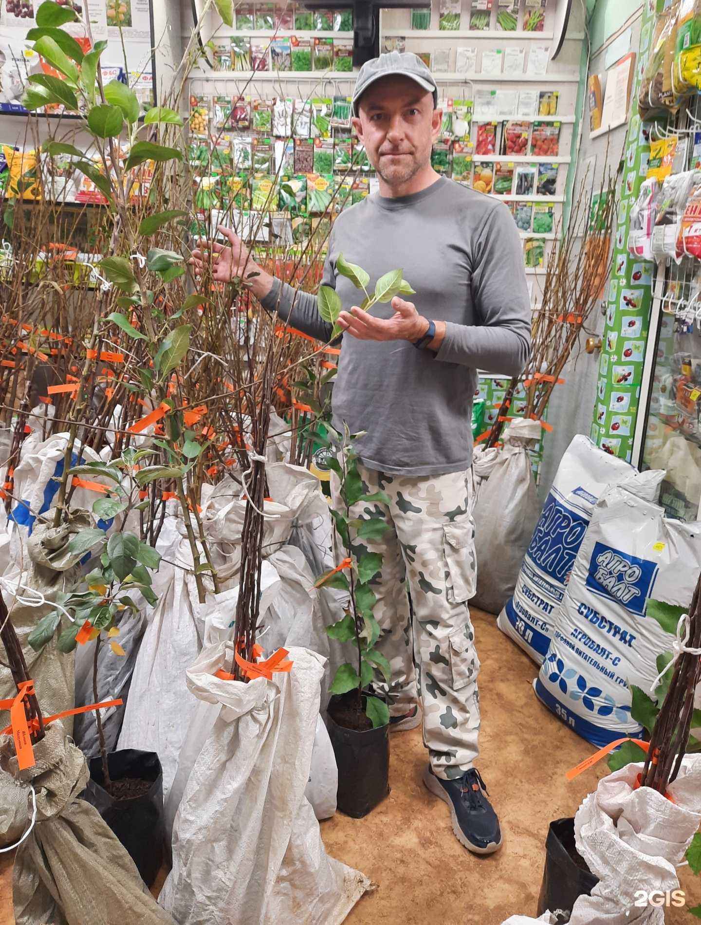 Отзывы на компанию Магазин товаров для сада и дома в Йошкар-Оле c фото