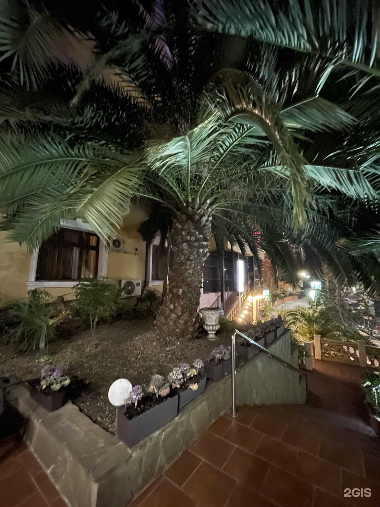 Отзывы на компанию Politel в Сочи c фото - фотография 2 из 2