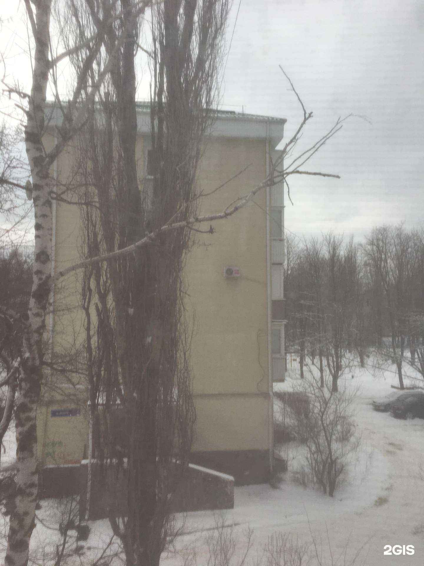 Отзывы на компанию Зоомагазин в Ставрополе c фото - фотография 2 из 2