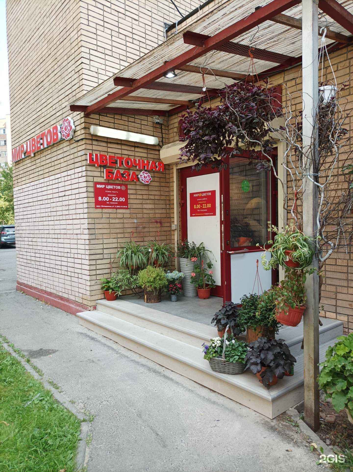 Отзывы на компанию Мир цветов в г. Химки c фото