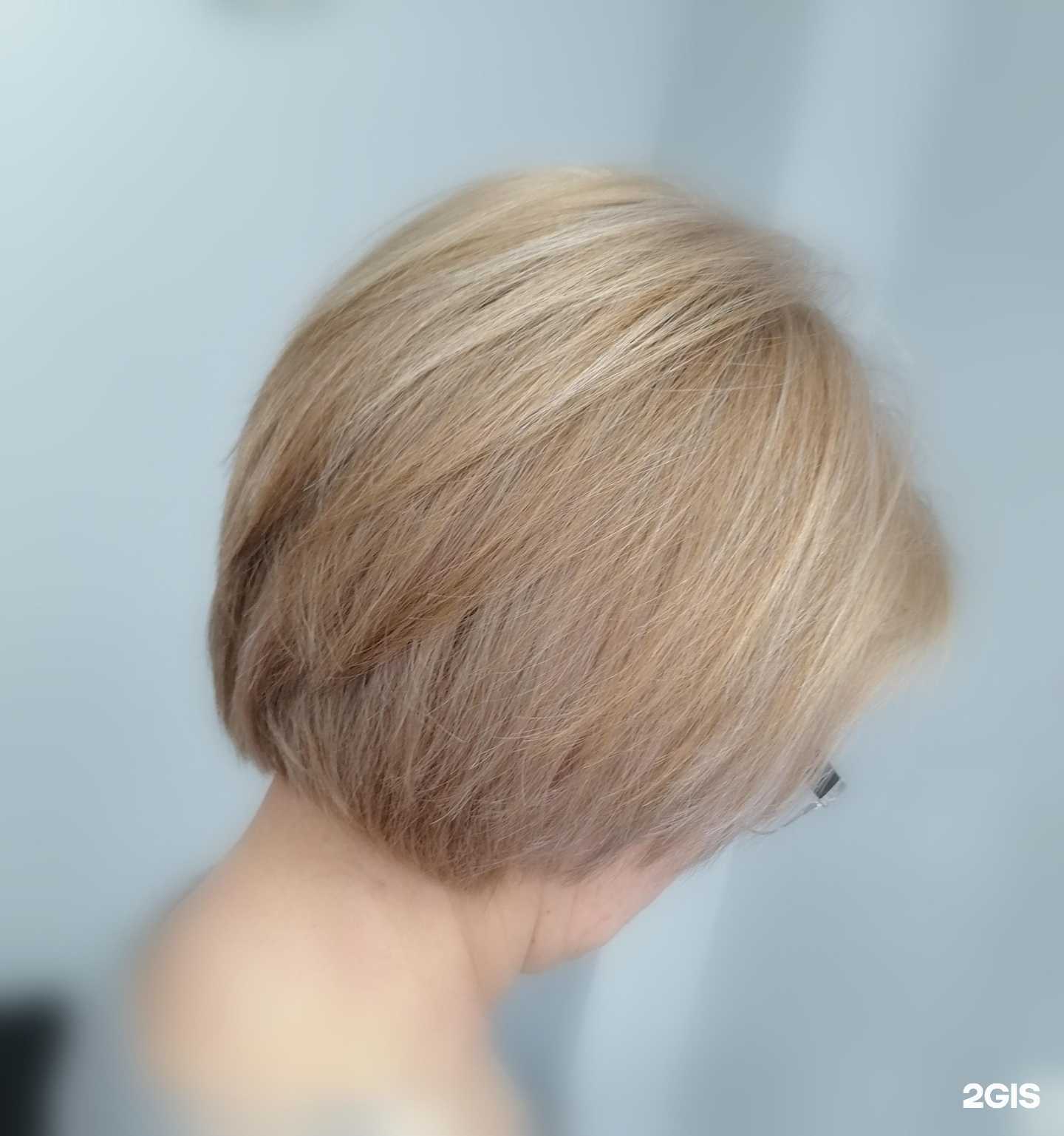 Отзывы на компанию Стрижка-студия в г. Новосибирск c фото