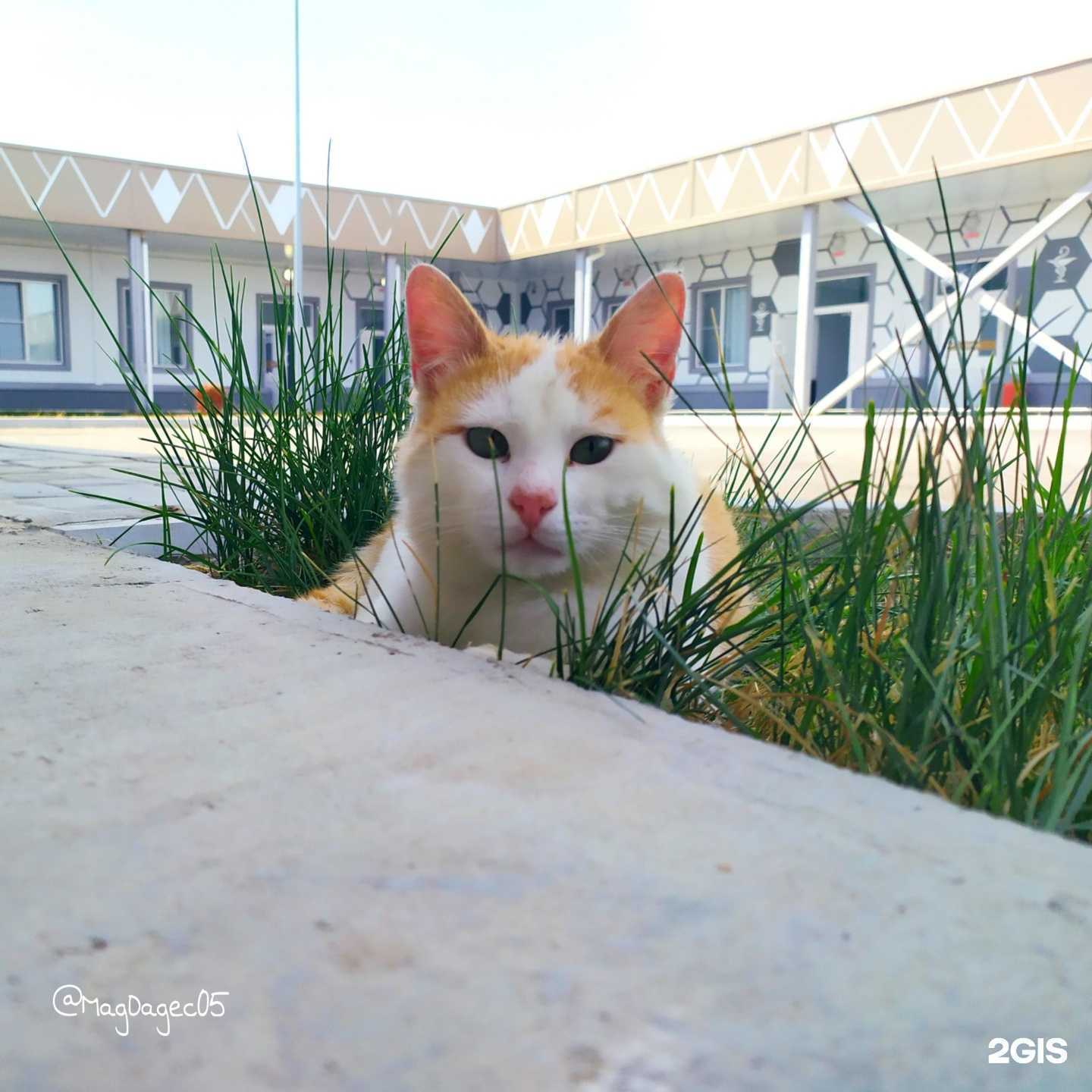 Отзывы на компанию Дербентская центральная городская больница в Дербенте c фото