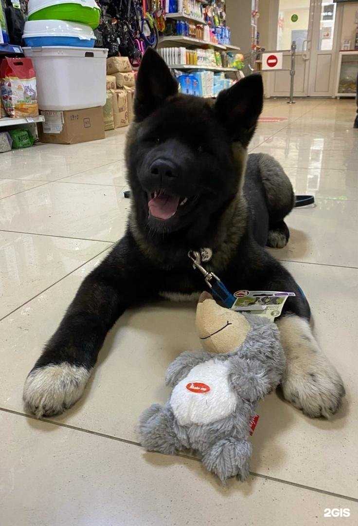 Отзывы на компанию Космозоо в Архангельске c фото