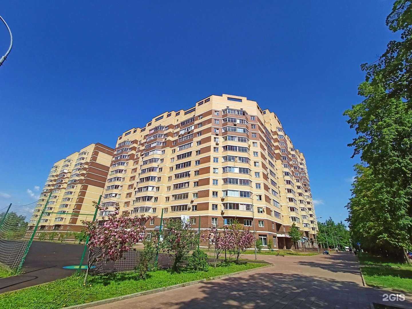 Отзывы на компанию Улыбка радуги в Пушкине c фото - фотография 2 из 2