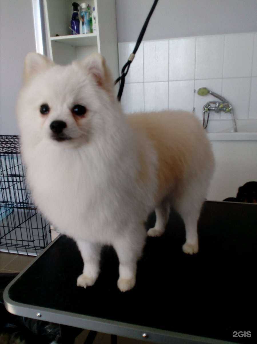 Отзывы на компанию Мелани в г. Тамбов c фото