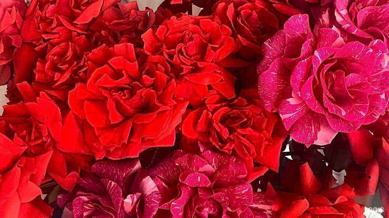 Отзывы на компанию Охапка в Новосибирске c фото