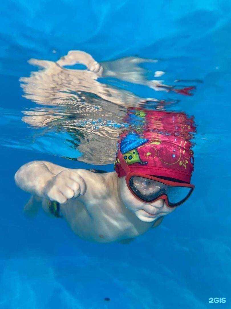 Отзывы на компанию Морские звезды в Новосибирске c фото