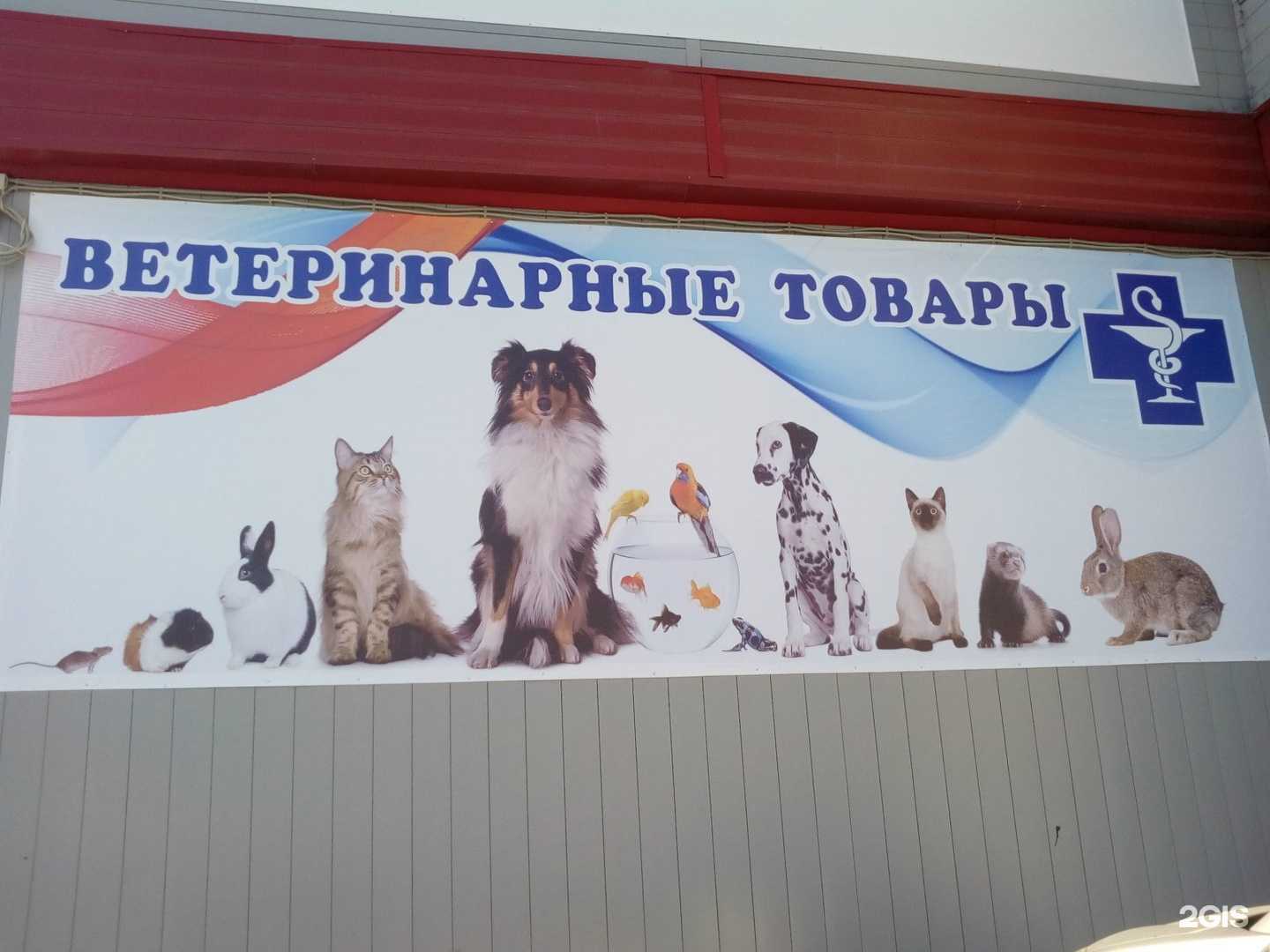 Отзывы на компанию Ветеринарная аптека в Кургане c фото