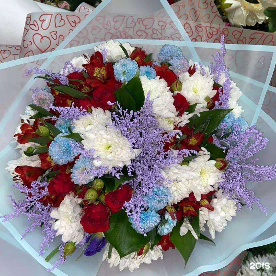 Отзывы на компанию Пан тюльпан в Анапе c фото