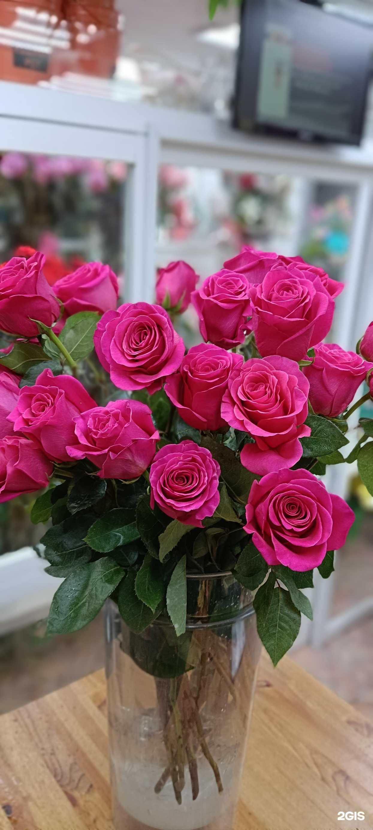 Отзывы на компанию Азалия в Владивостоке c фото