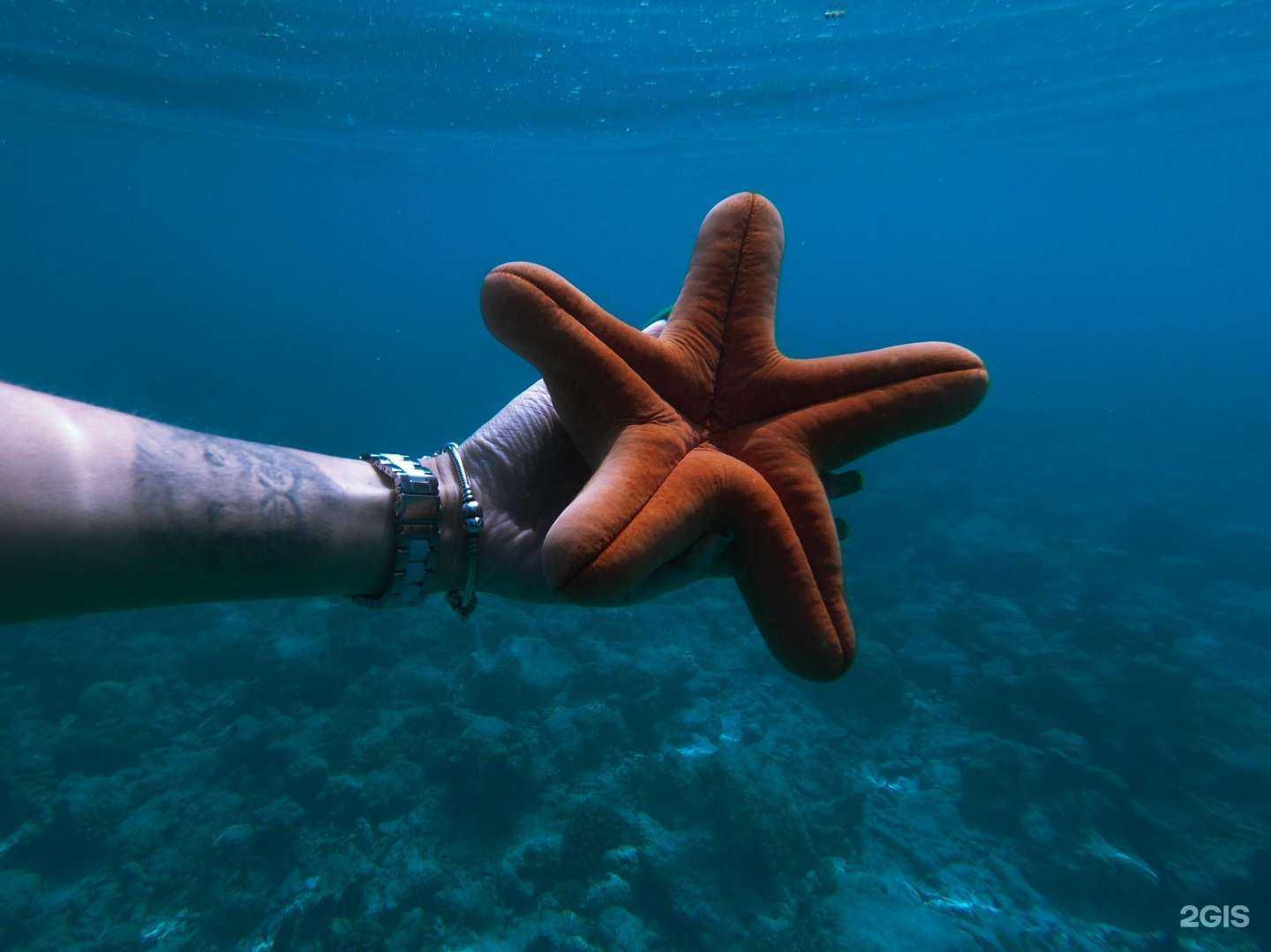 Отзывы на компанию Галиотис в Екатеринбурге c фото