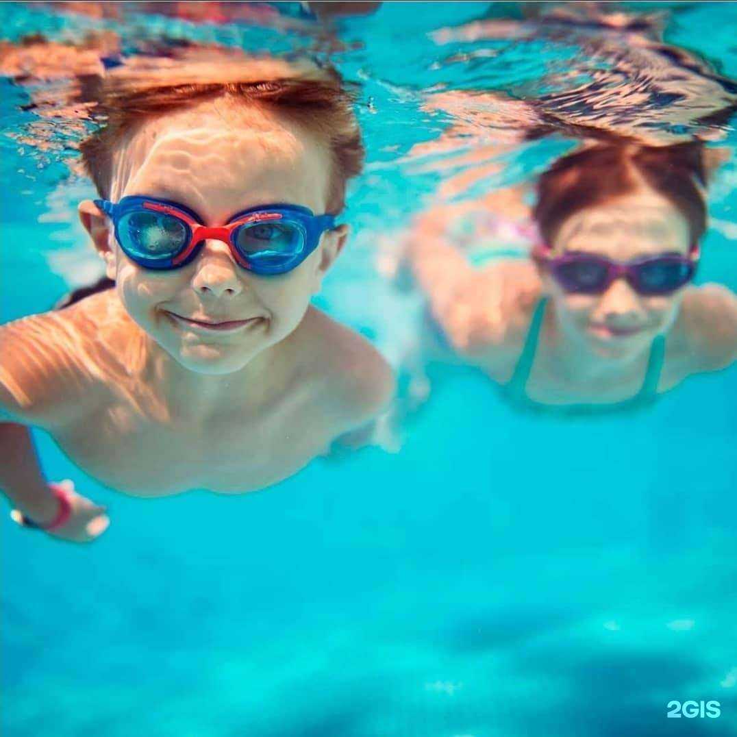 Отзывы на компанию Чудо-Остров в Бийске c фото