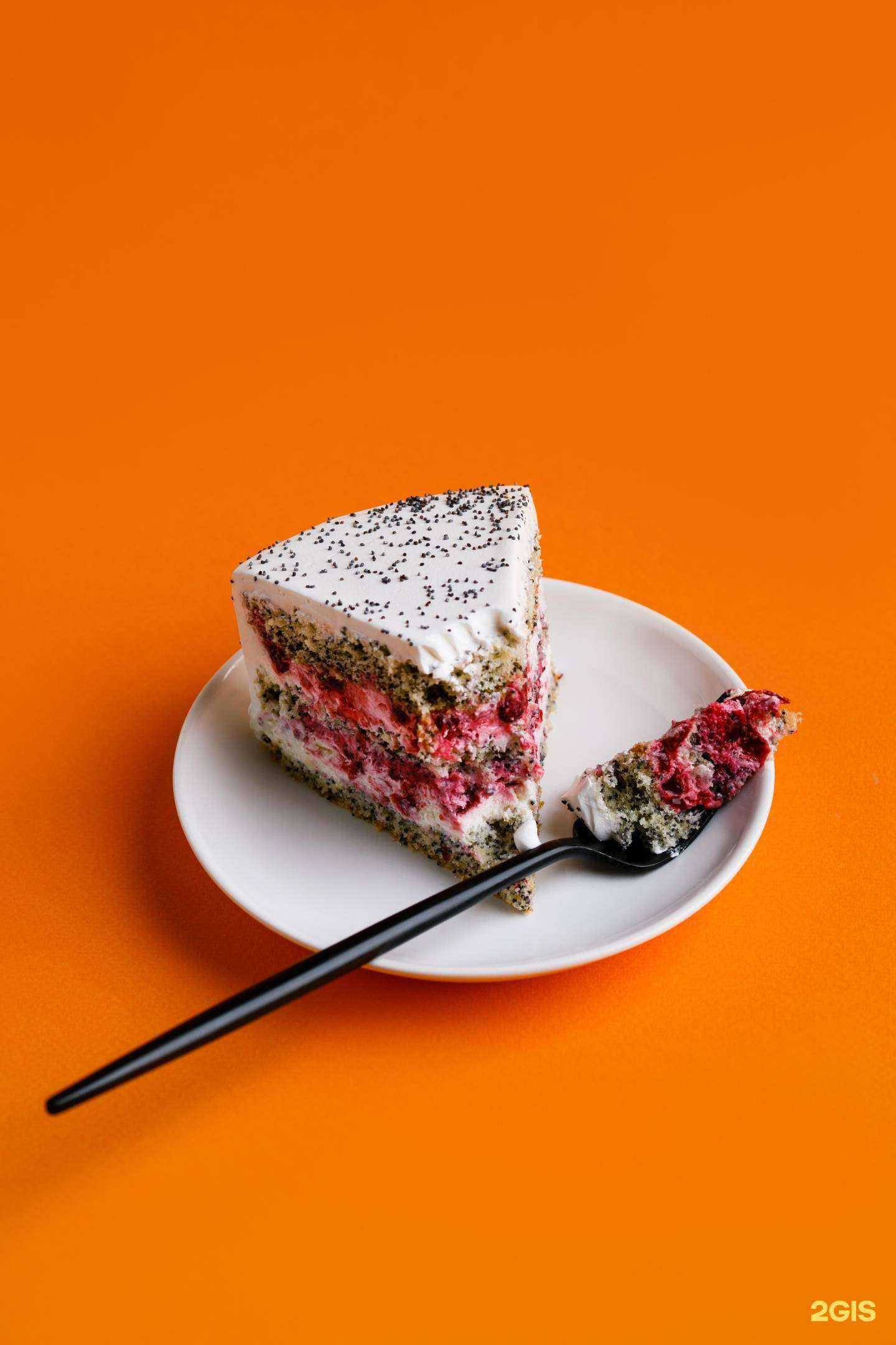 Отзывы на компанию Тесто в г. Томск c фото