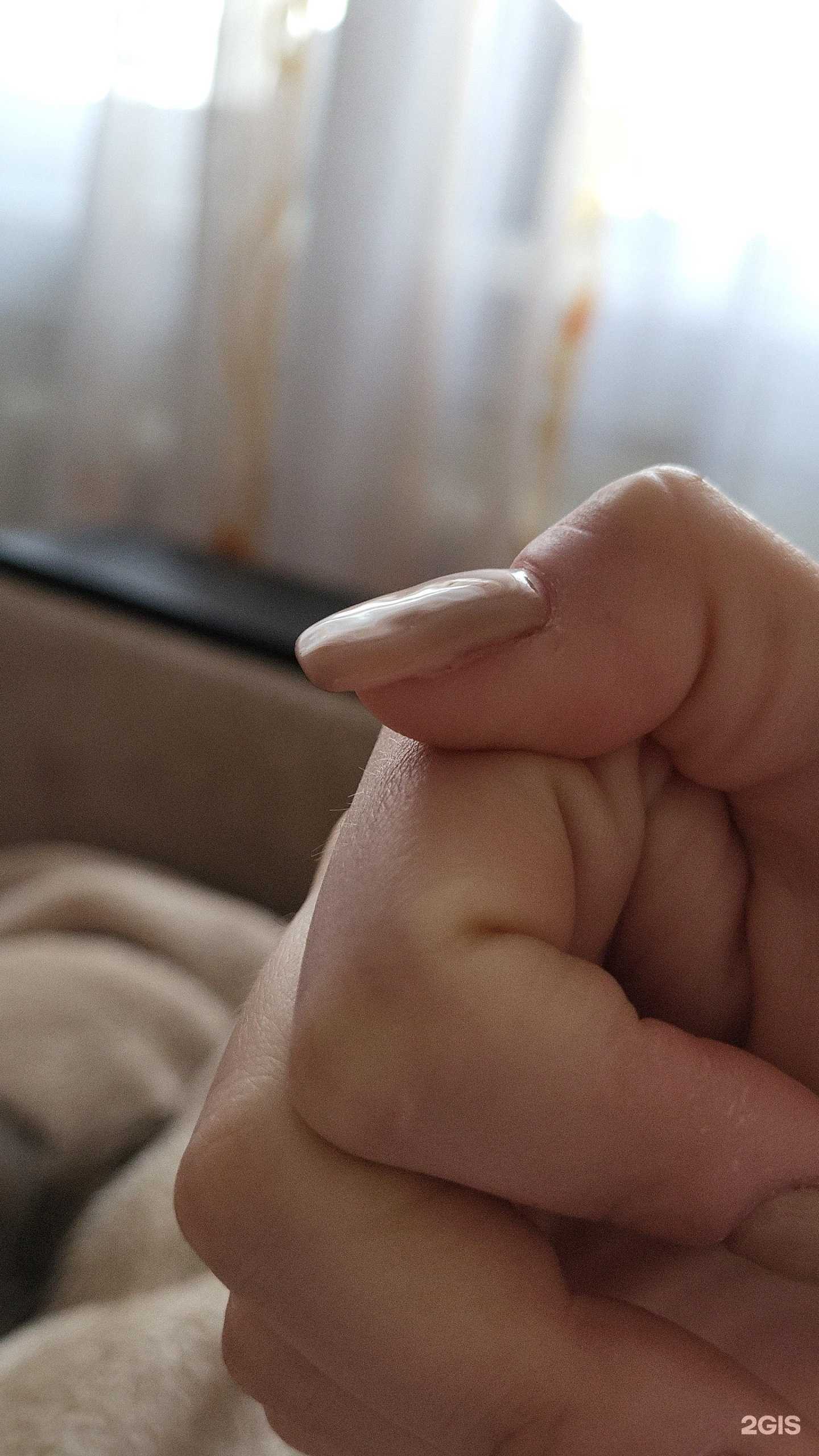 Отзывы на компанию Аселя в Новосибирске c фото