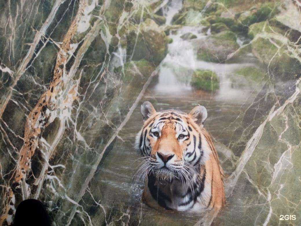 Отзывы на компанию Партнер Декор в Калуге c фото