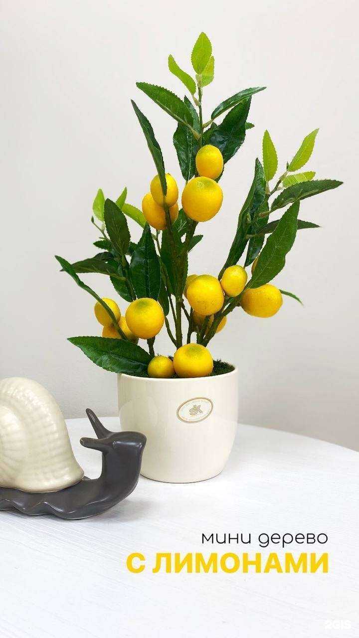 Отзывы на компанию Art Flora в Твери c фото