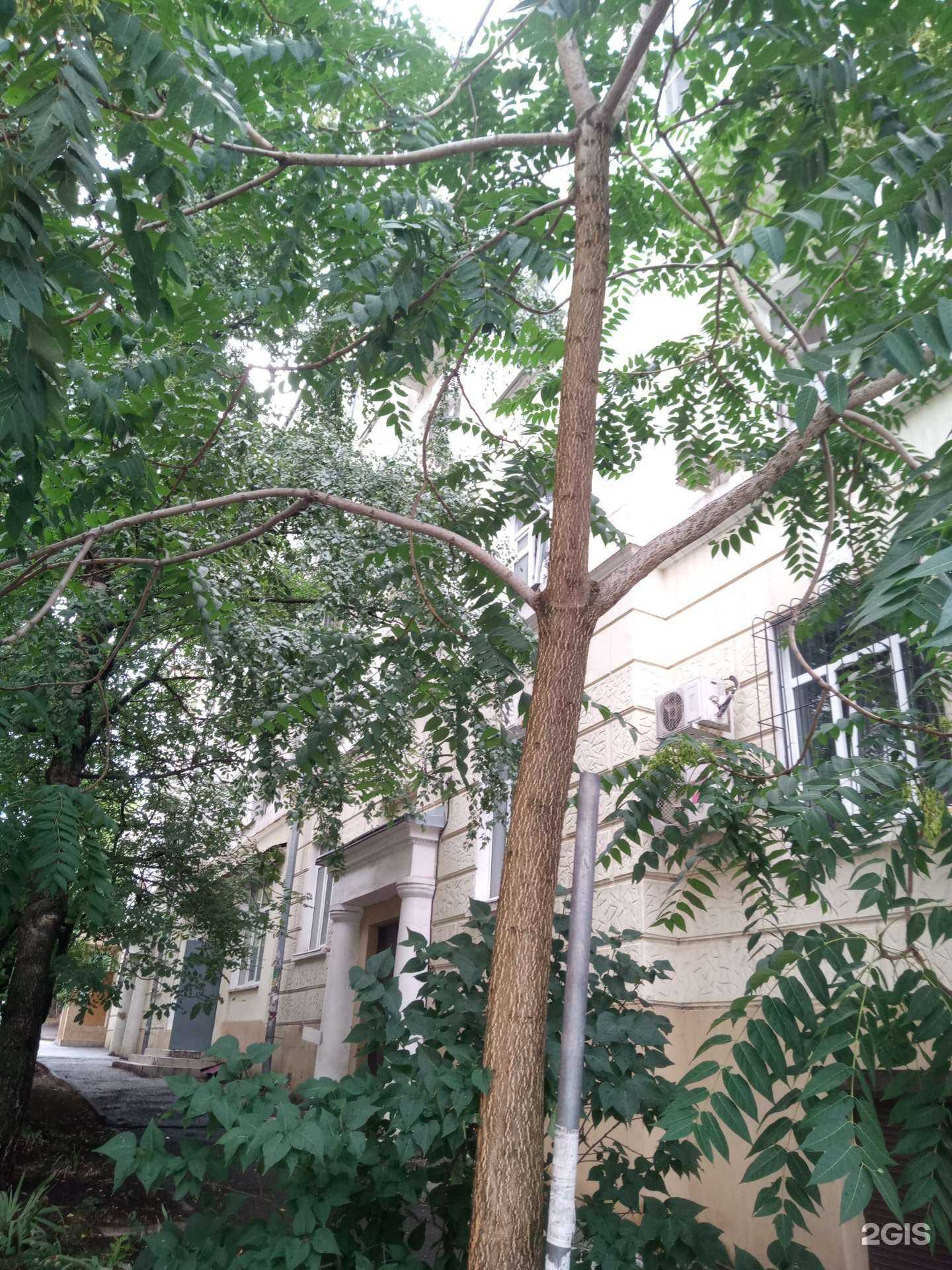 Отзывы на компанию Теплоэнерго в Ростове-на-Дону c фото - фотография 2 из 2