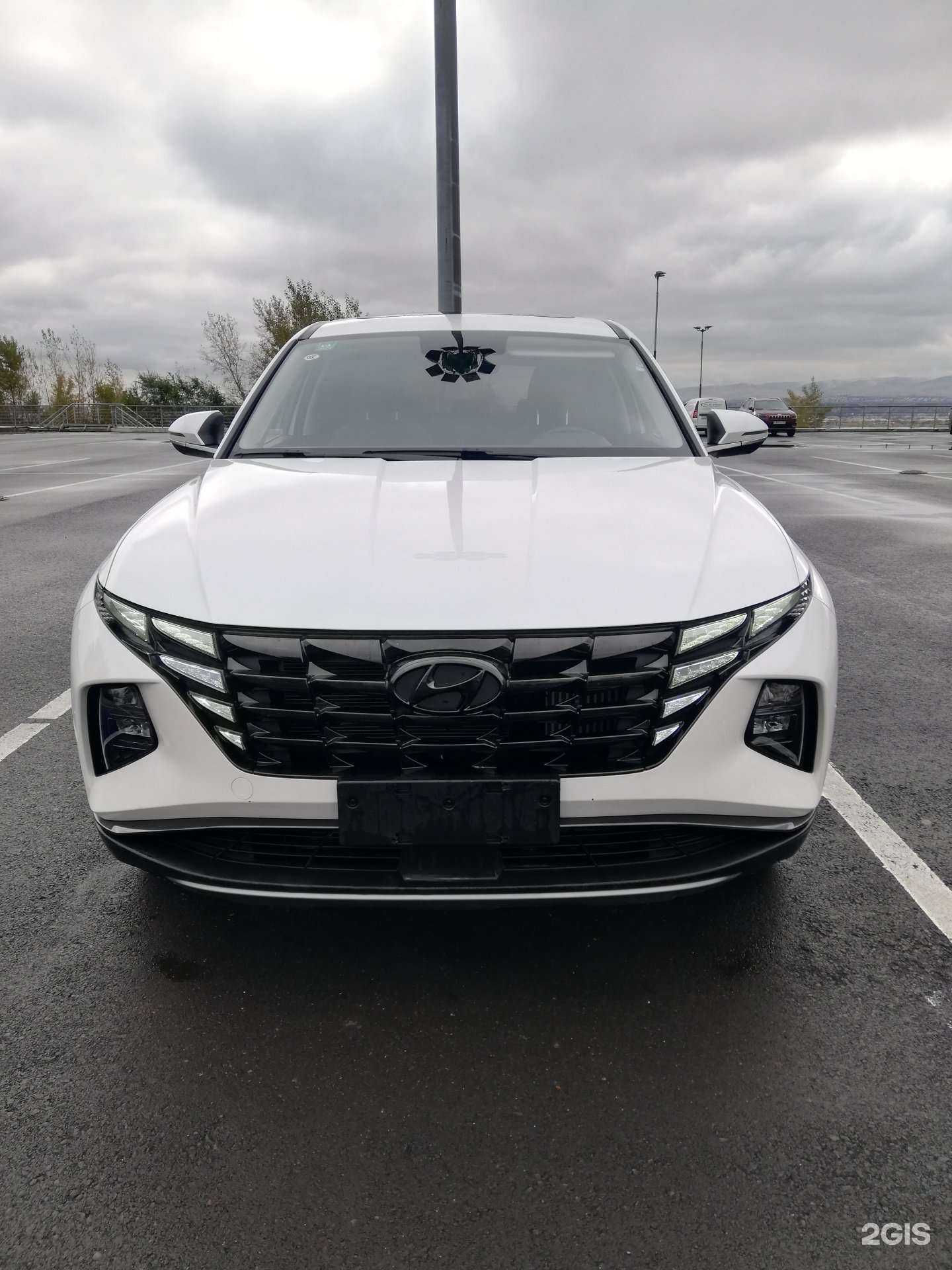 Отзывы на компанию Greg-Auto в Абакане c фото