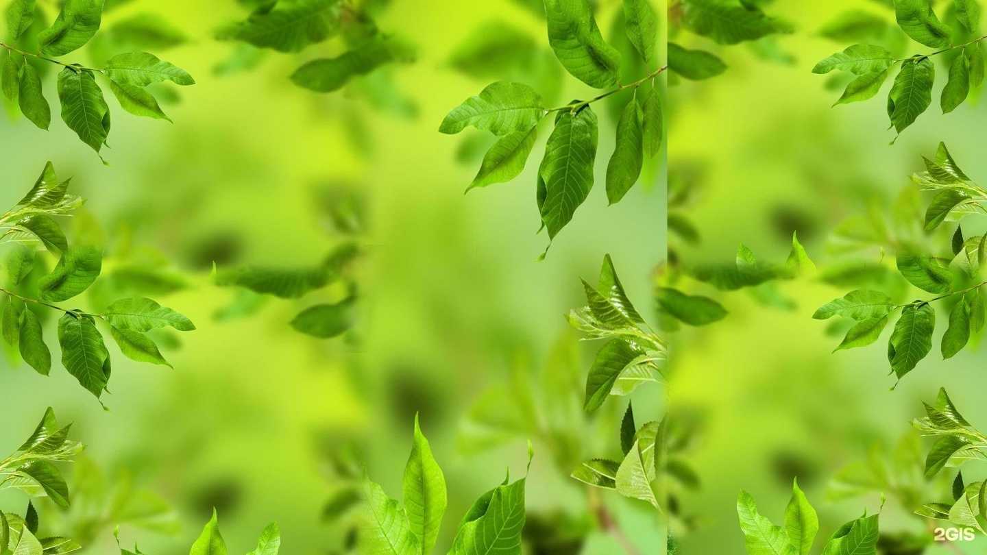 Отзывы на компанию Профисад в Раменском c фото