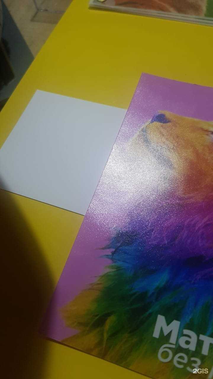 Отзывы на компанию Моё фото в Новороссийске c фото