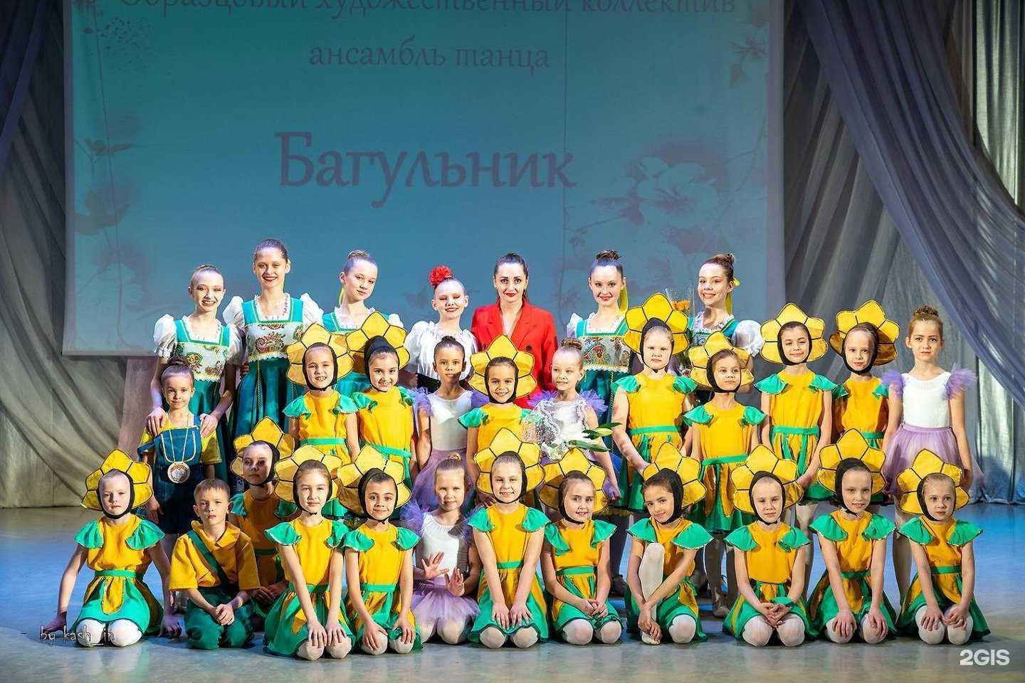 Отзывы на компанию Багульник в г. Комсомольск-на-Амуре c фото