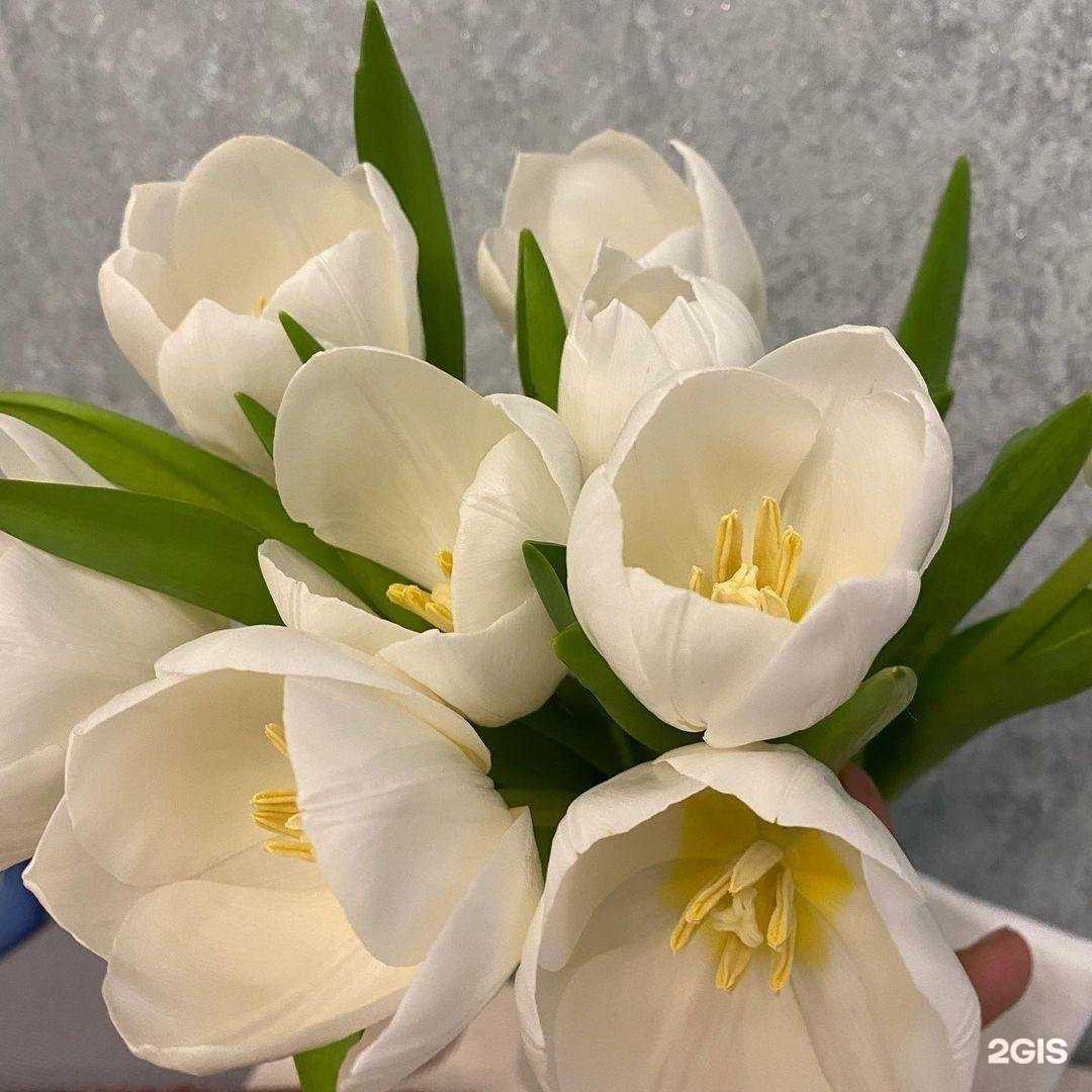 Отзывы на компанию Цветочный дворик в Солнечногорске c фото