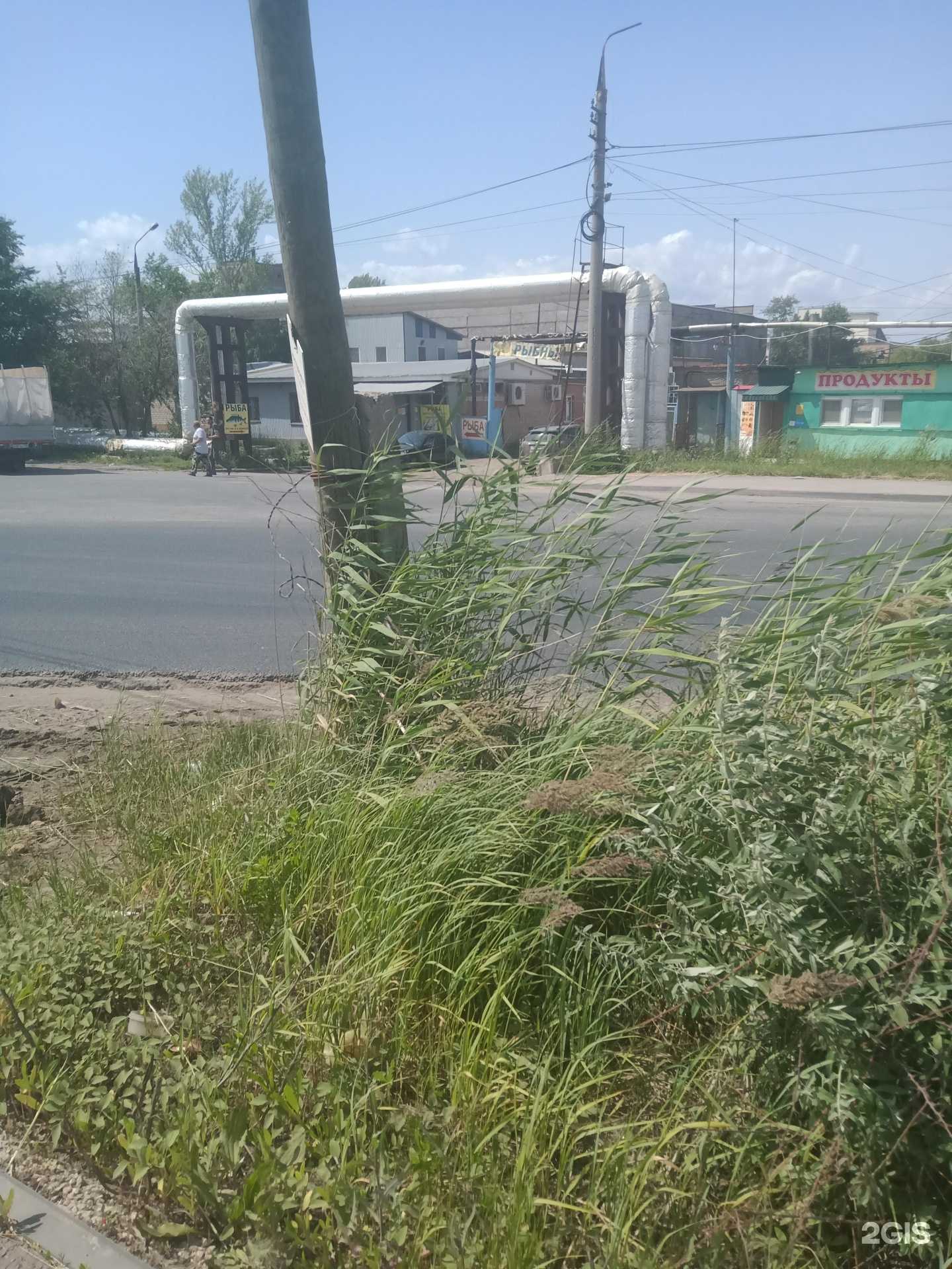 Отзывы на компанию Дельта в Энгельсе c фото