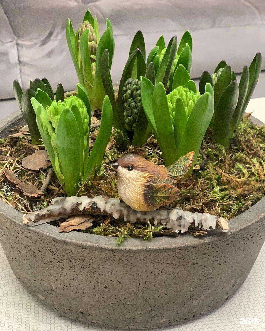 Отзывы на компанию Вальс цветов в г. Саранск c фото