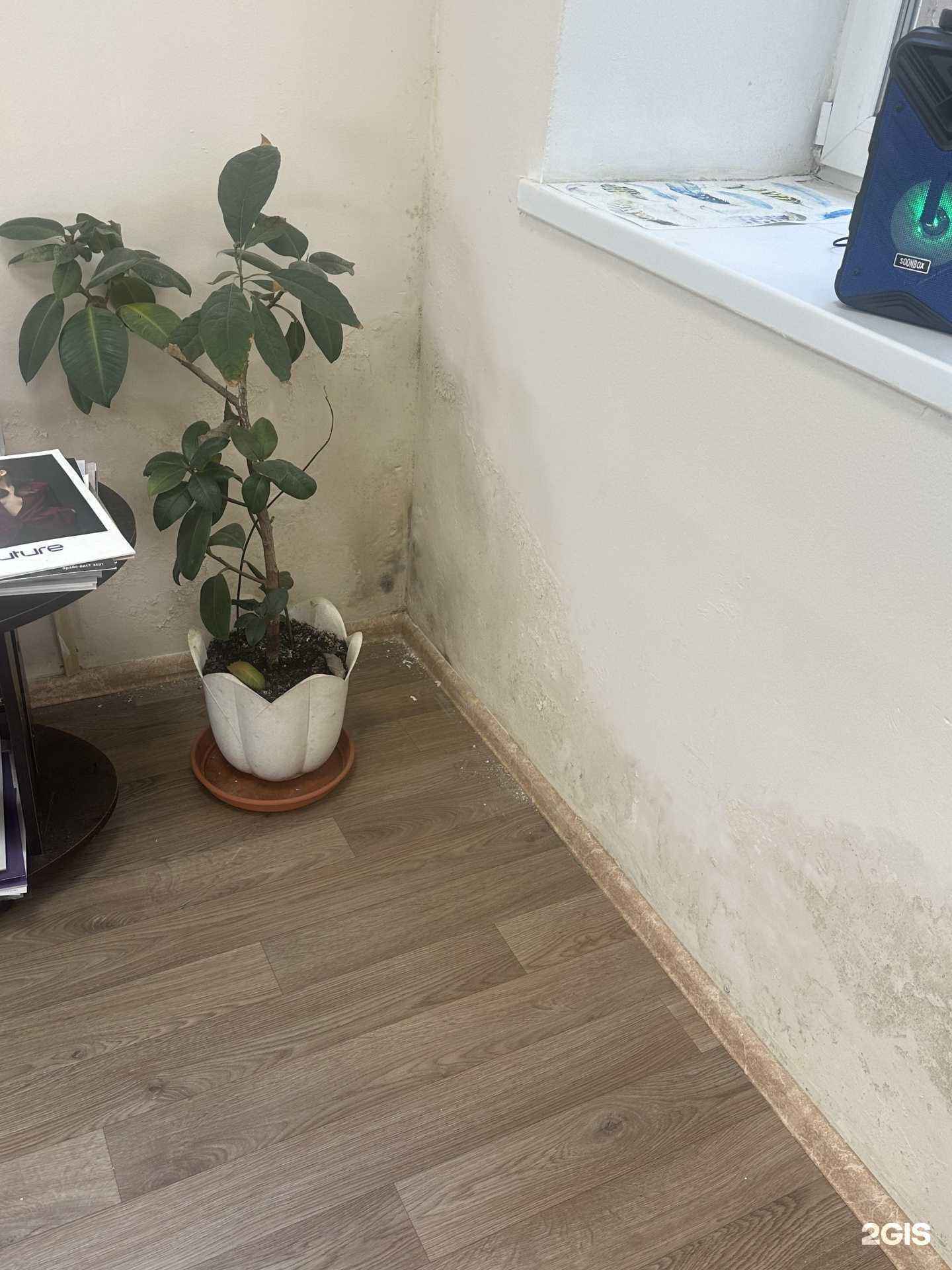 Отзывы на компанию Fox в Туле c фото