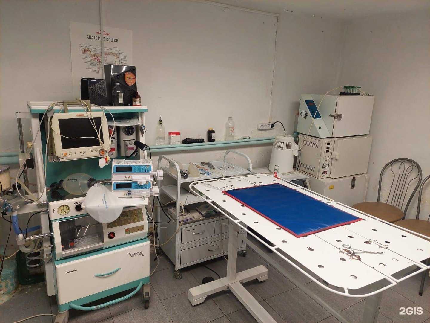 Отзывы на компанию Добровет в Нижнекамске c фото