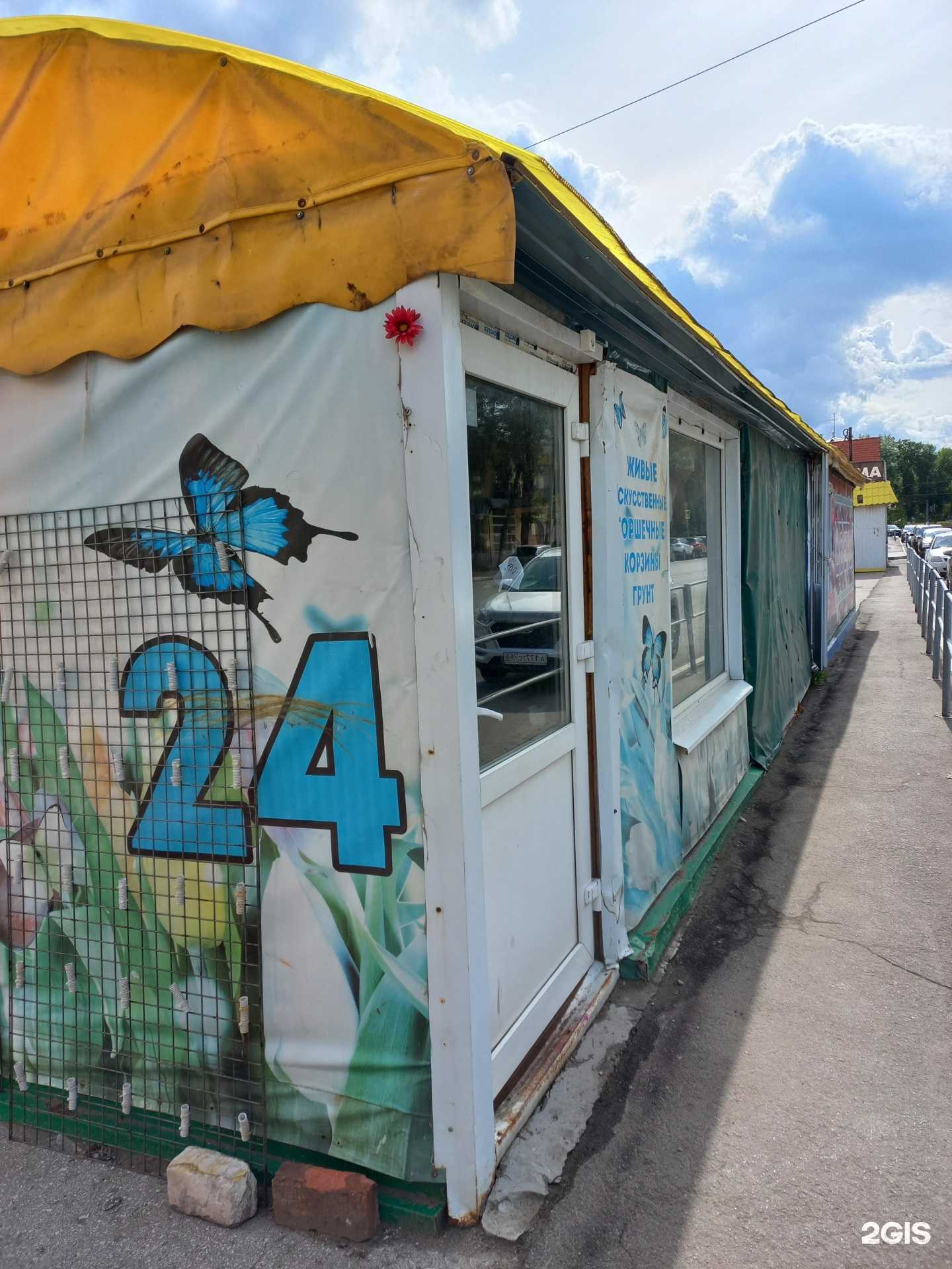 Отзывы на компанию Цветочный домик в г. Новокуйбышевск c фото