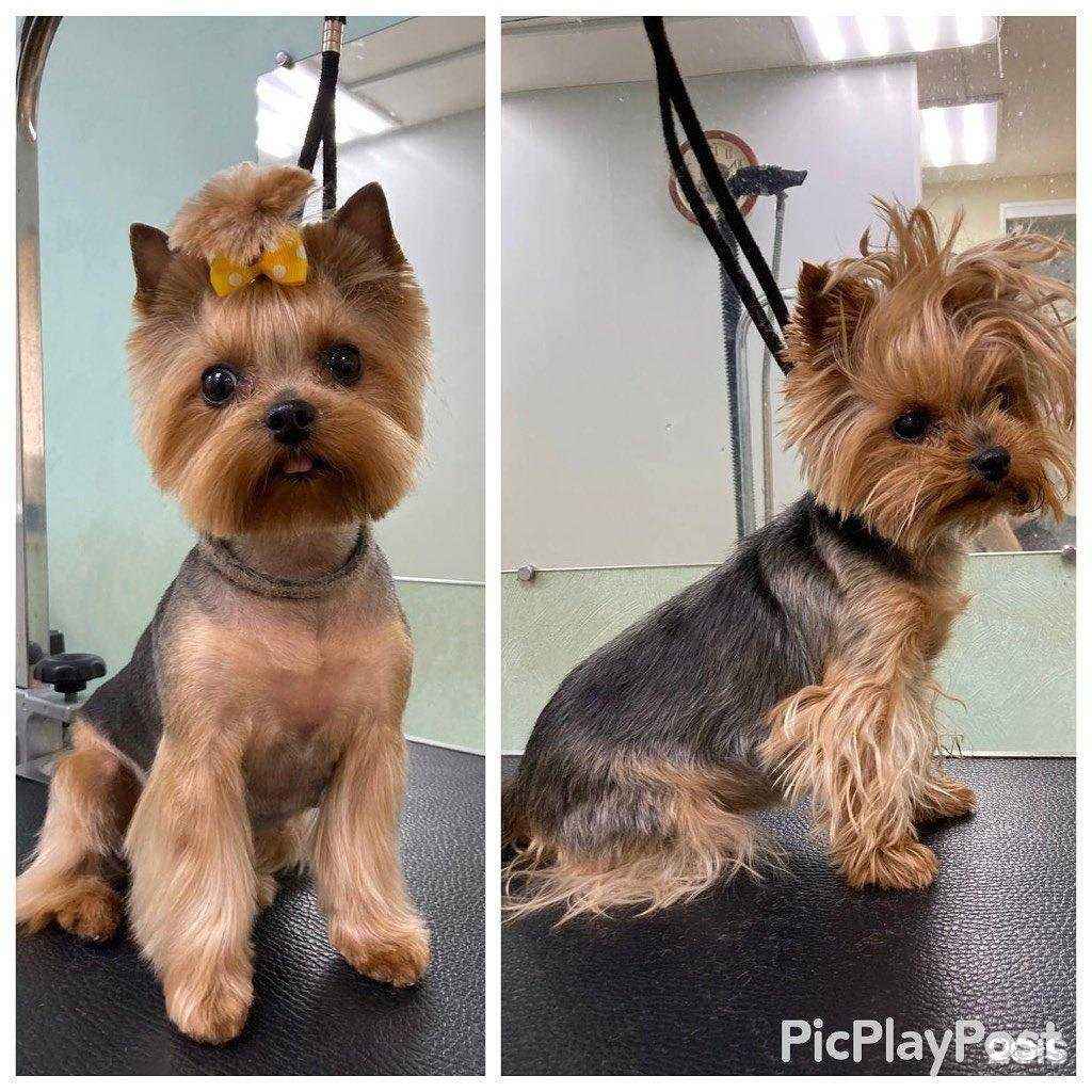 Отзывы на компанию NewЙорк в Волгограде c фото