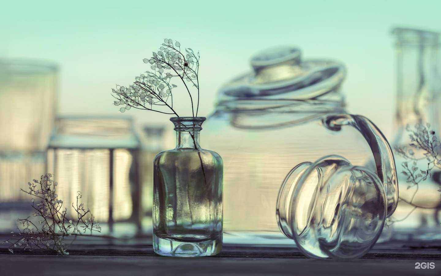 Отзывы на компанию Мир цветов в Сочи c фото