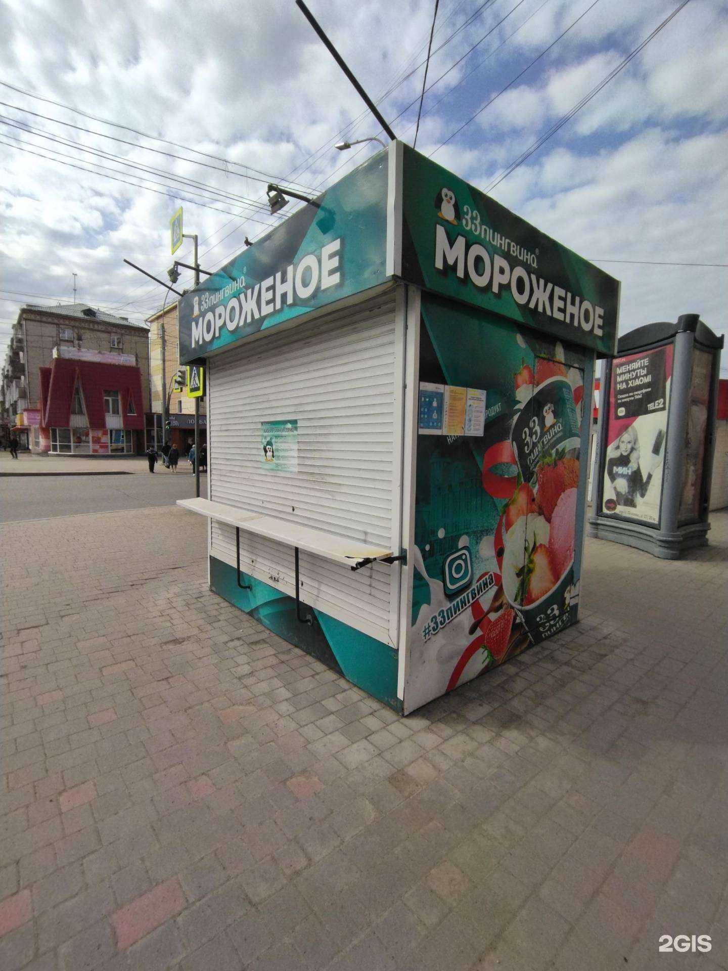 Отзывы на компанию 33 пингвина в Томске c фото