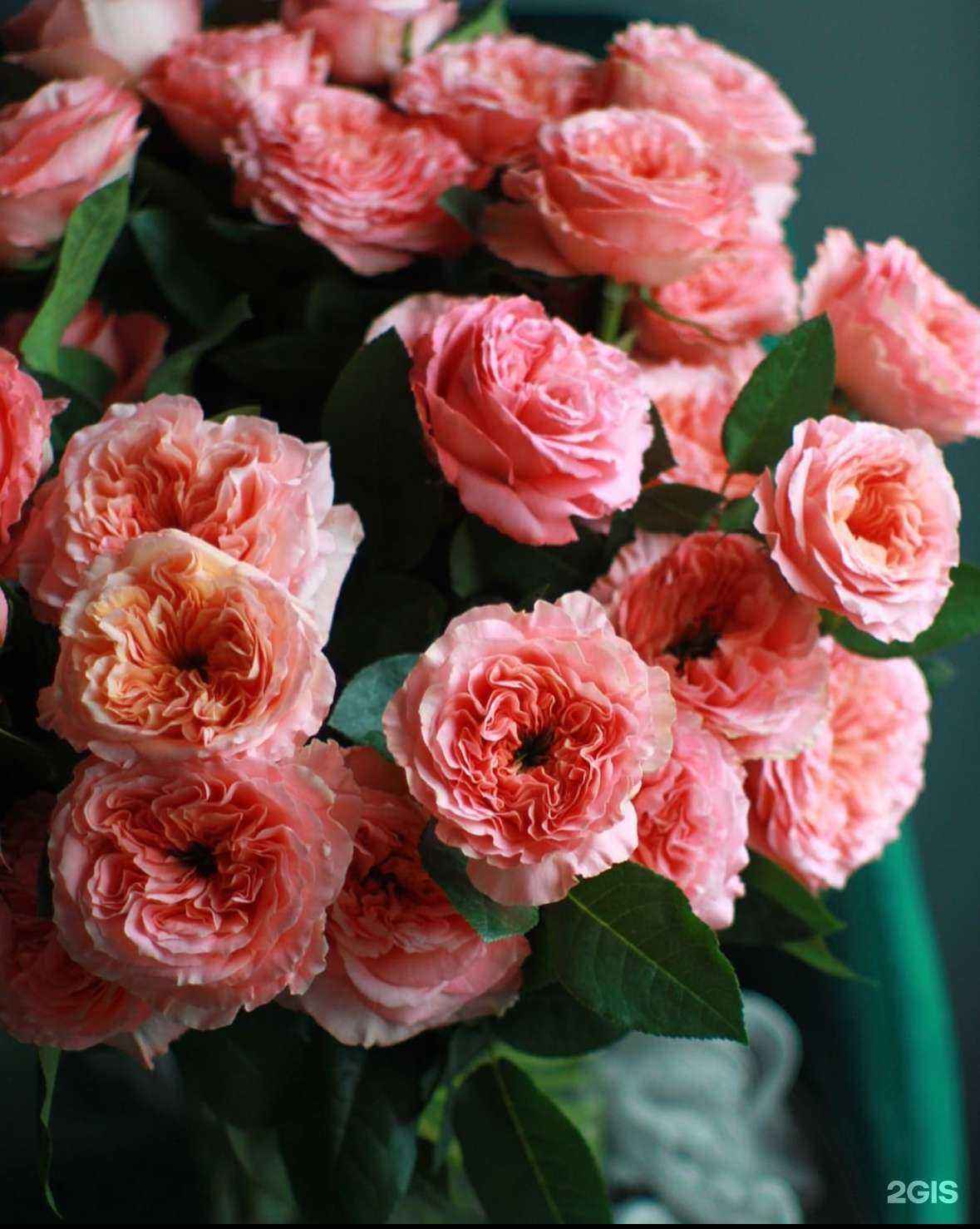 Отзывы на компанию Цветник в Астрахани c фото