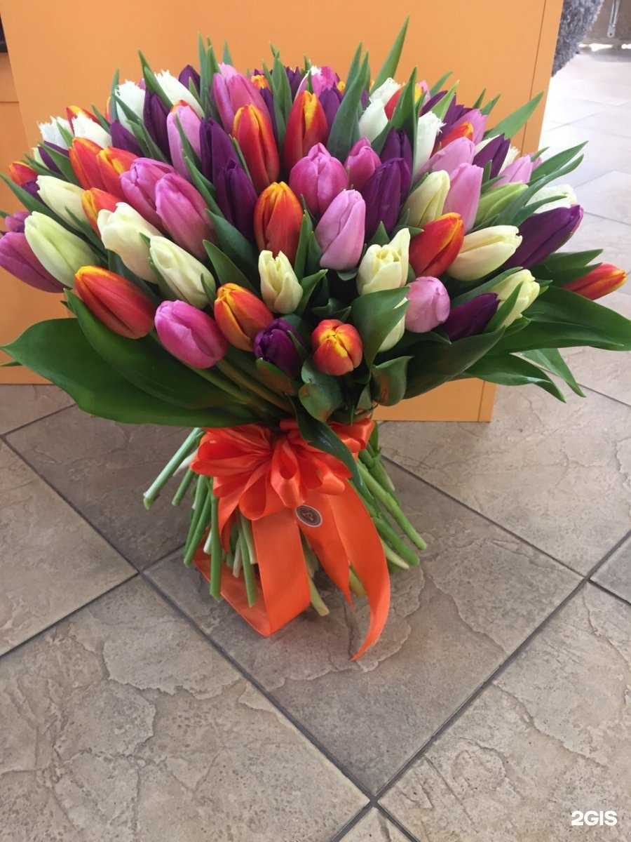 Отзывы на компанию Роза Сочи в Сочи c фото