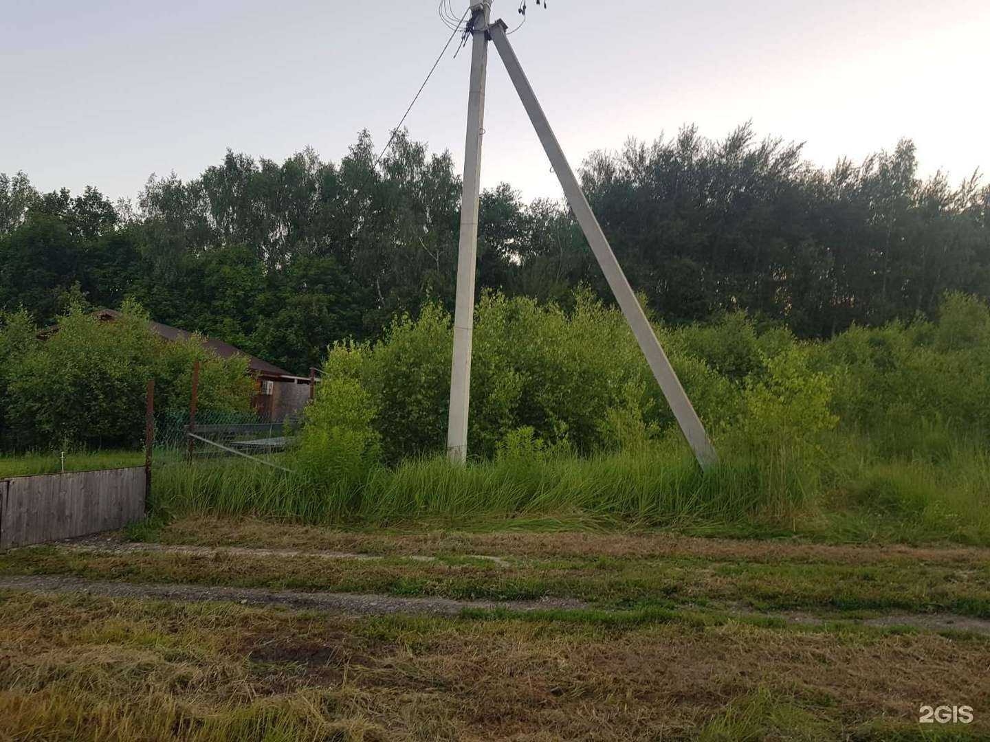 Отзывы на компанию Абрикосовка в г. Нижний Новгород c фото