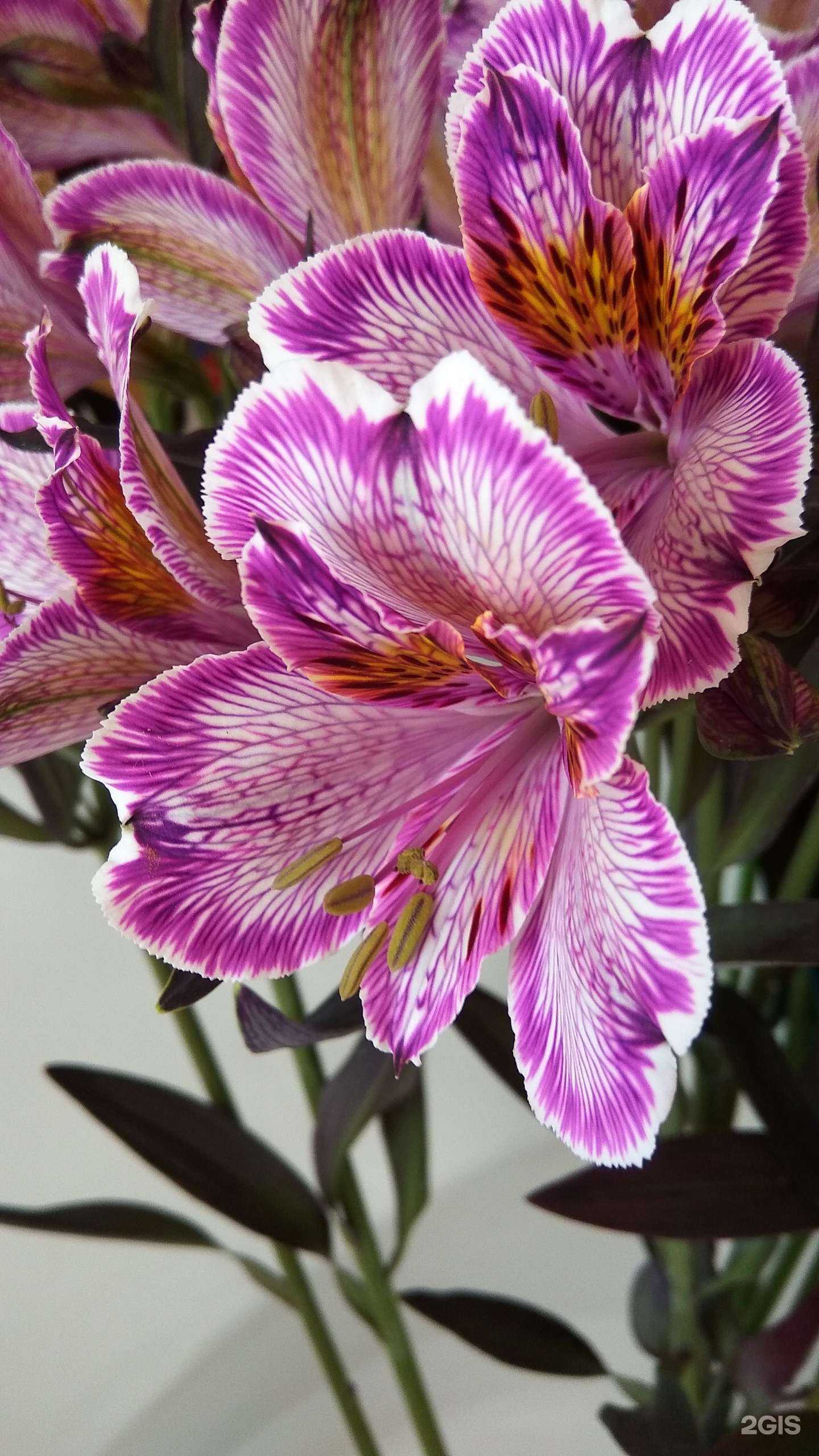 Отзывы на компанию Желание в г. Екатеринбург c фото