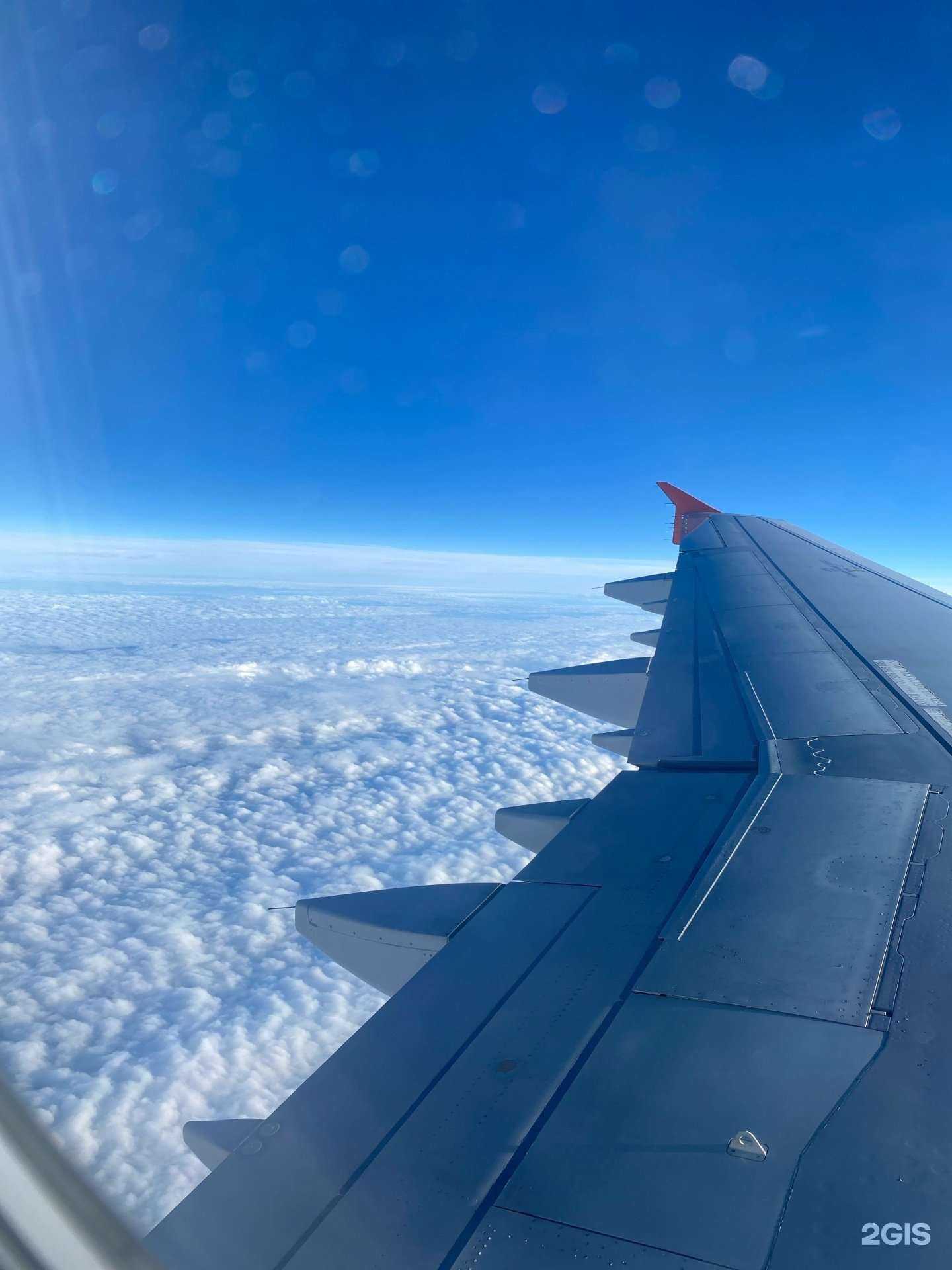 Отзывы на компанию Fly-тур в Тюмени c фото