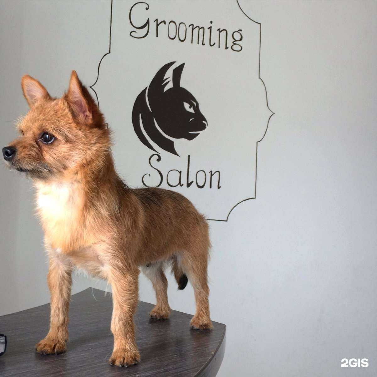 Отзывы на компанию Рио в Иркутске c фото