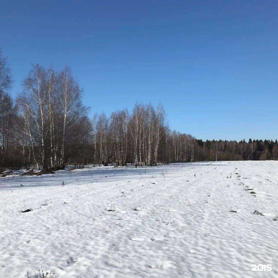 Отзывы на компанию Дачи Москворечья в Москве c фото