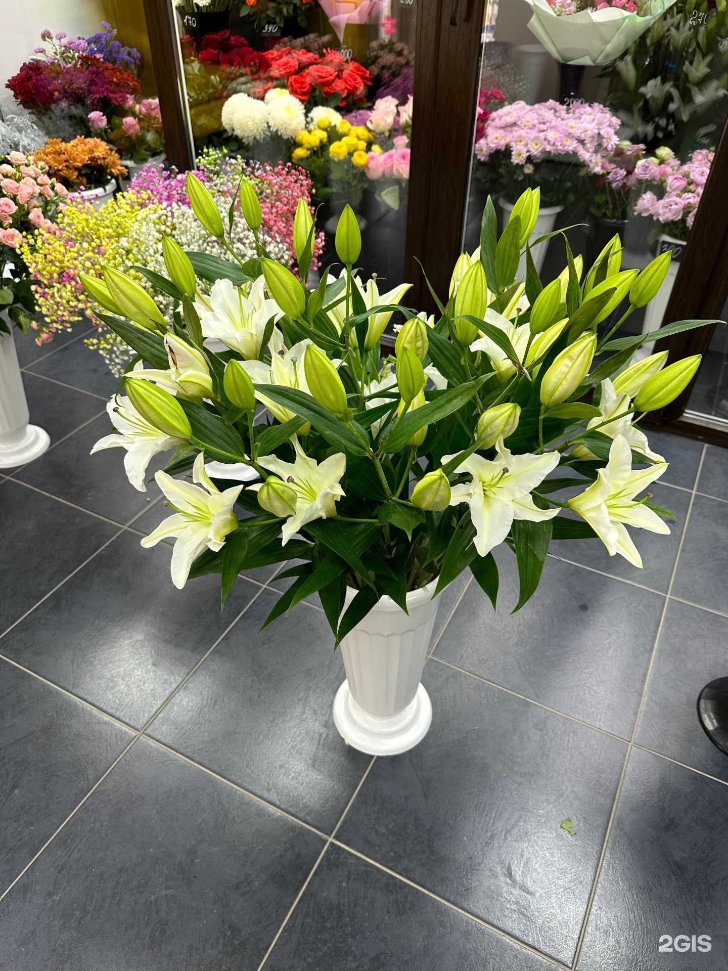 Отзывы на компанию Карлсон в Березниках c фото