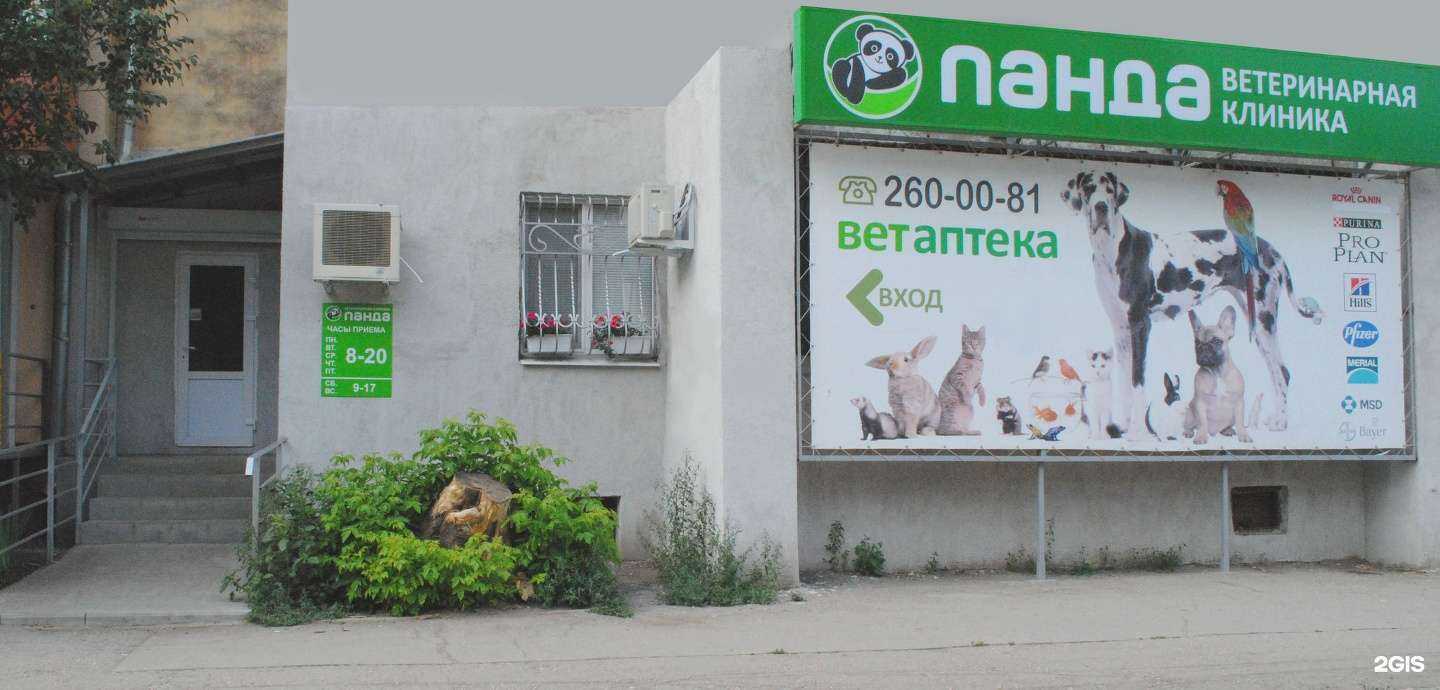 Отзывы на компанию Панда в Самаре c фото