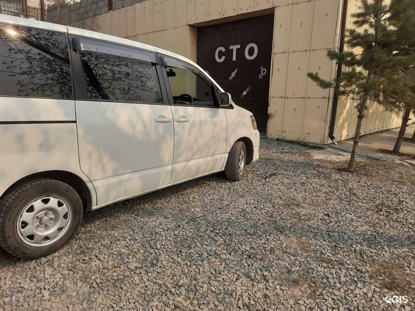 Отзывы на компанию Сафари в Новосибирске c фото