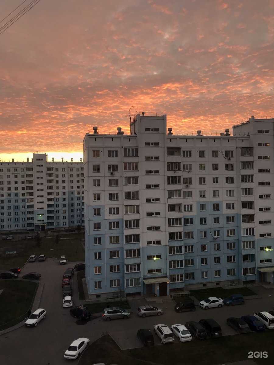 Отзывы на компанию DomVistel в г. Новосибирск c фото