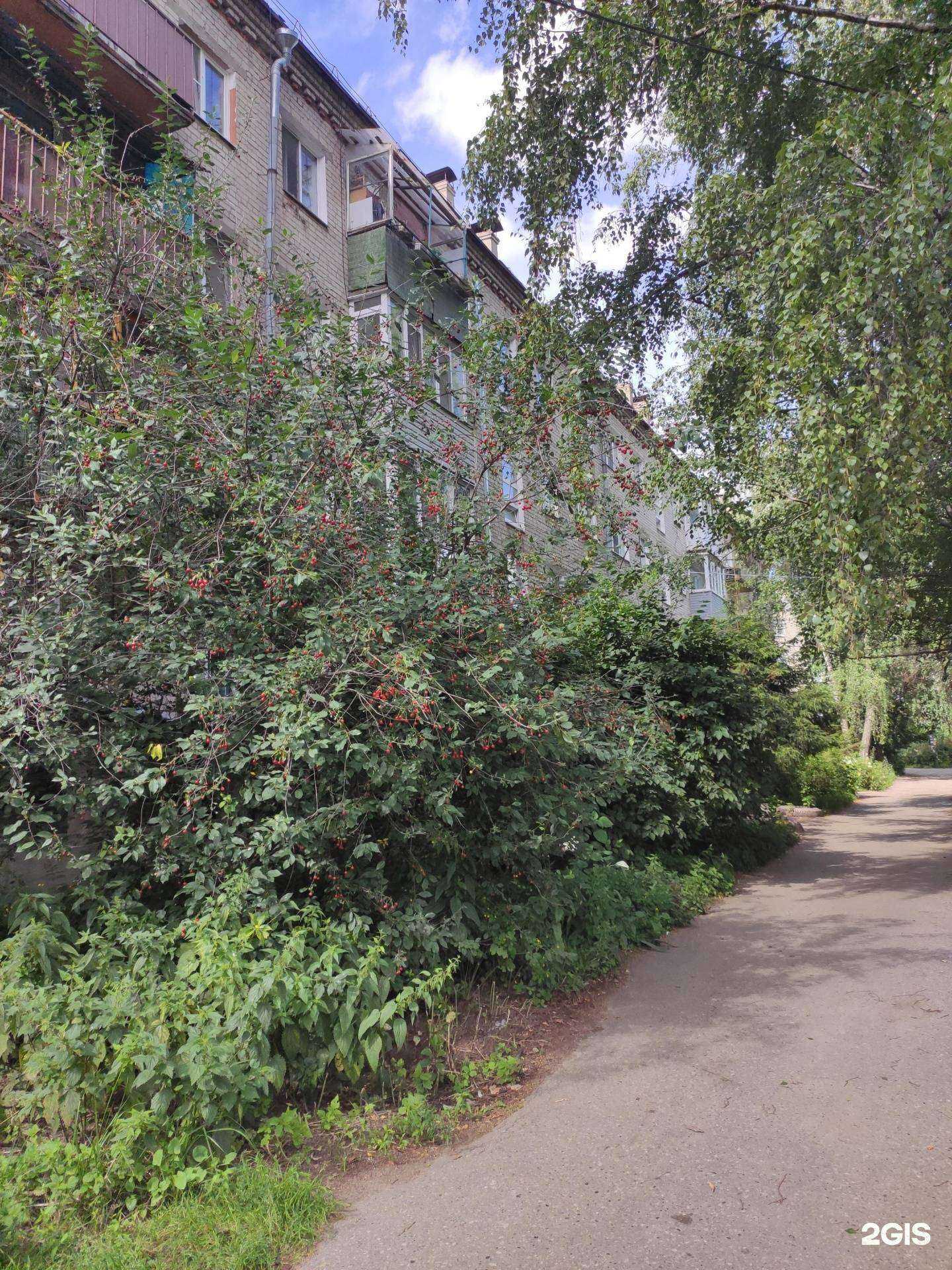 Отзывы на компанию Максавит в Боре c фото - фотография 2 из 2